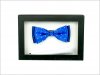 Detský  motýlik v kazete