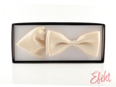 Pánsky motýlik a vreckovka